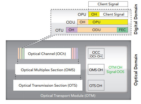 OTN,-OTM-and-OTU-Domains
